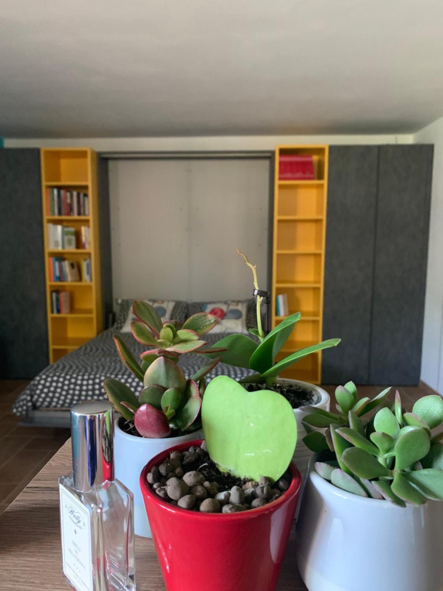 Appartamento Con Giardino Pontecchio Marconi Bagian luar foto